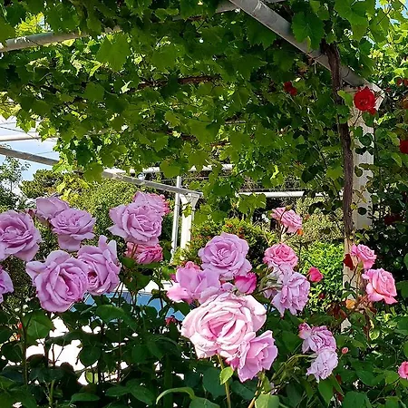 Antonio Apartmán Cavtat