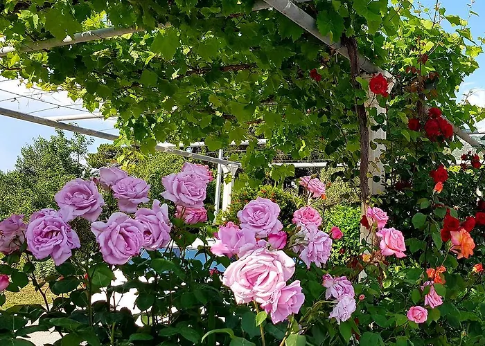 Antonio Apartamento Cavtat